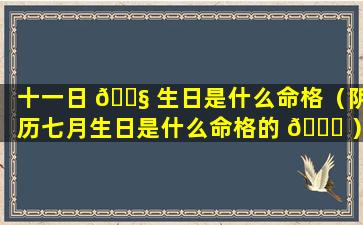 十一日 🐧 生日是什么命格（阴历七月生日是什么命格的 🐈 ）